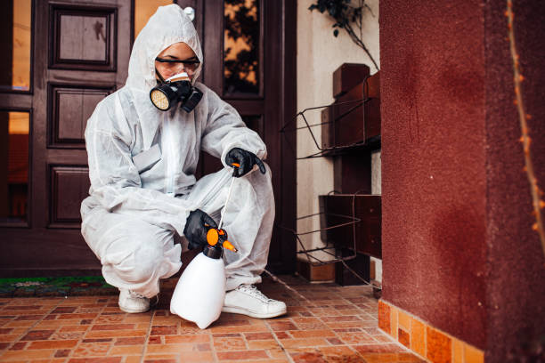 Reliable Wasp Removal contractor in Raymond, MS by Show Me Pest Control